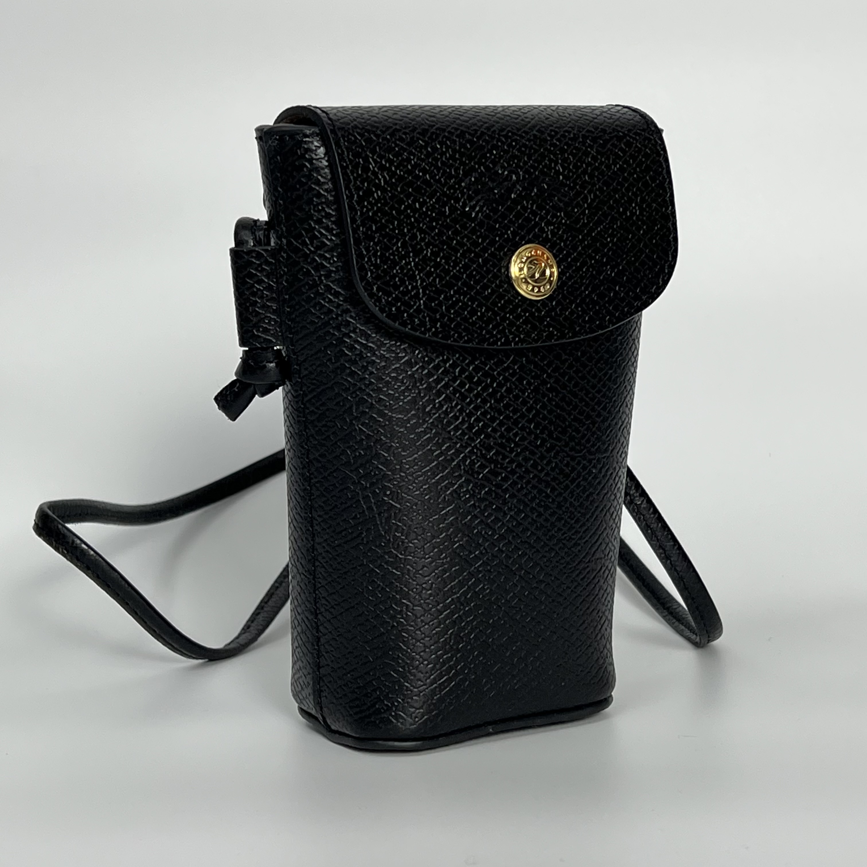 DS LONGCHAMP 34193 HYZ 001
