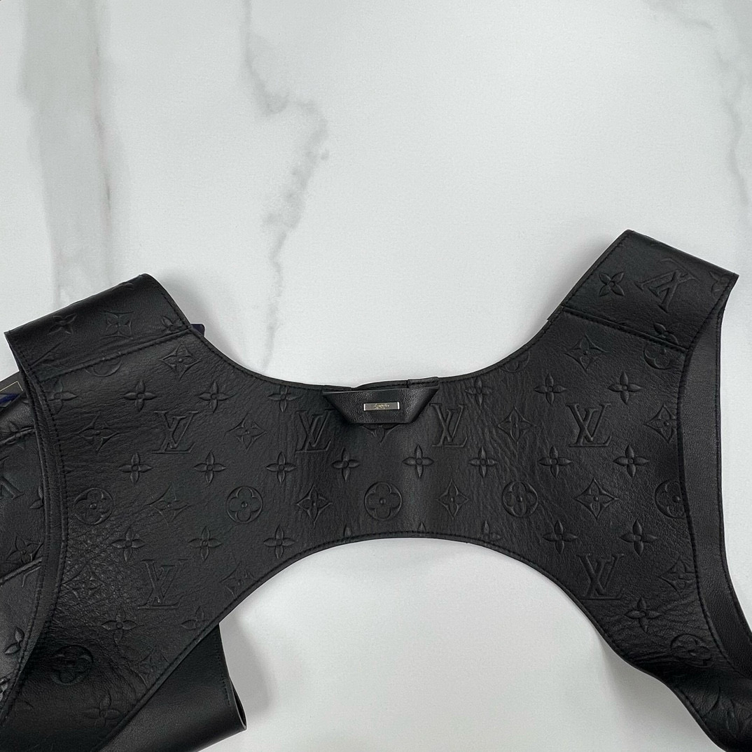 DS LOUIS VUITTON 1A9G97