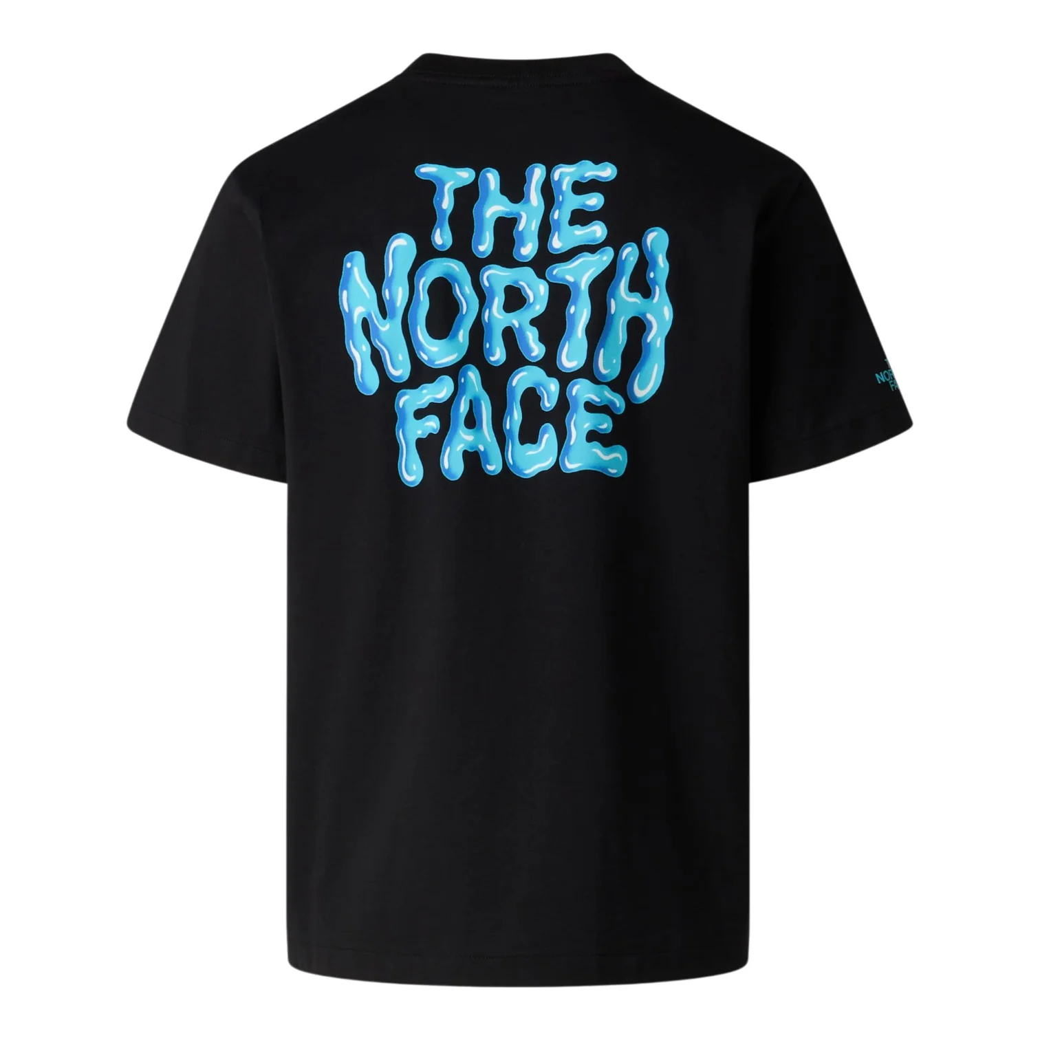 THE NORTH FACE NF0A8GAB JK31