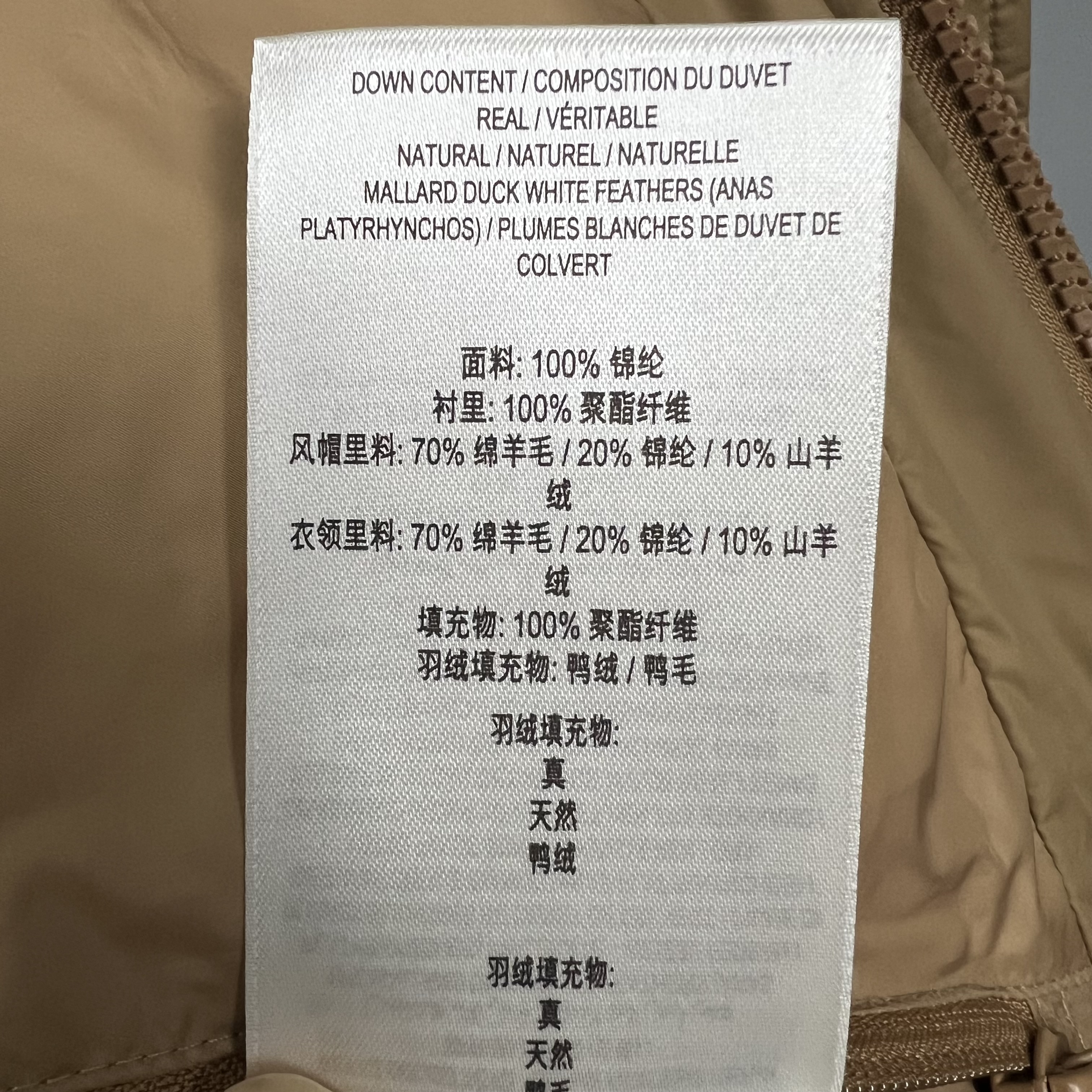 BURBERRY 81052261