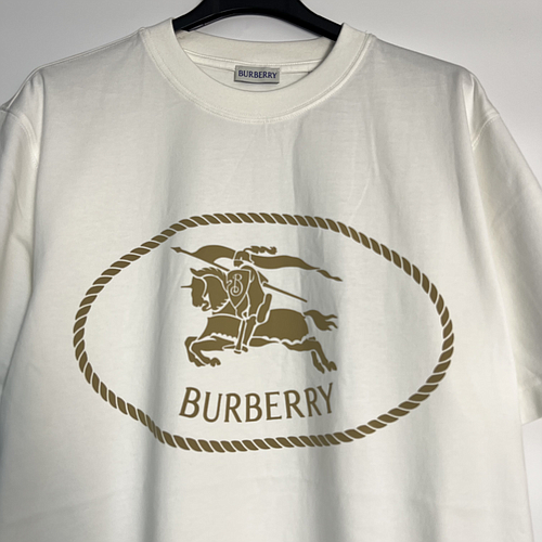 BURBERRY 8110112 B7078