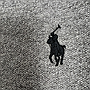 POLO RALPH LAUREN 710666998 006