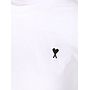 AMI PARIS FTS347724 100