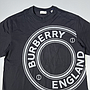 BURBERRY 81209481