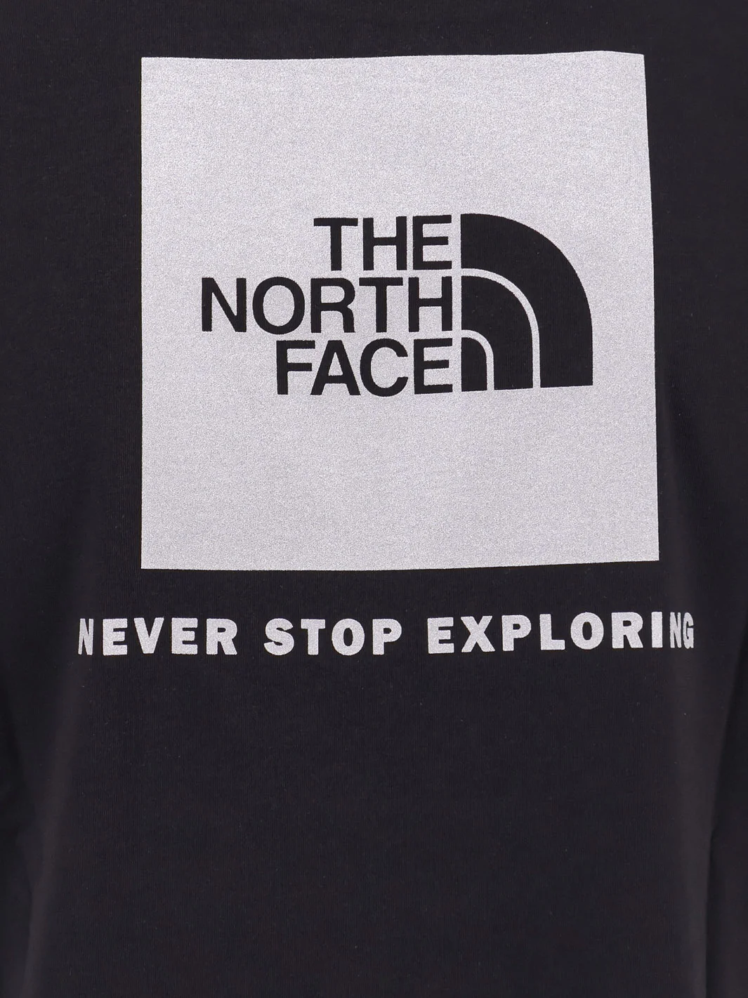 THE NORTH FACE NF0A8C4V U1H1