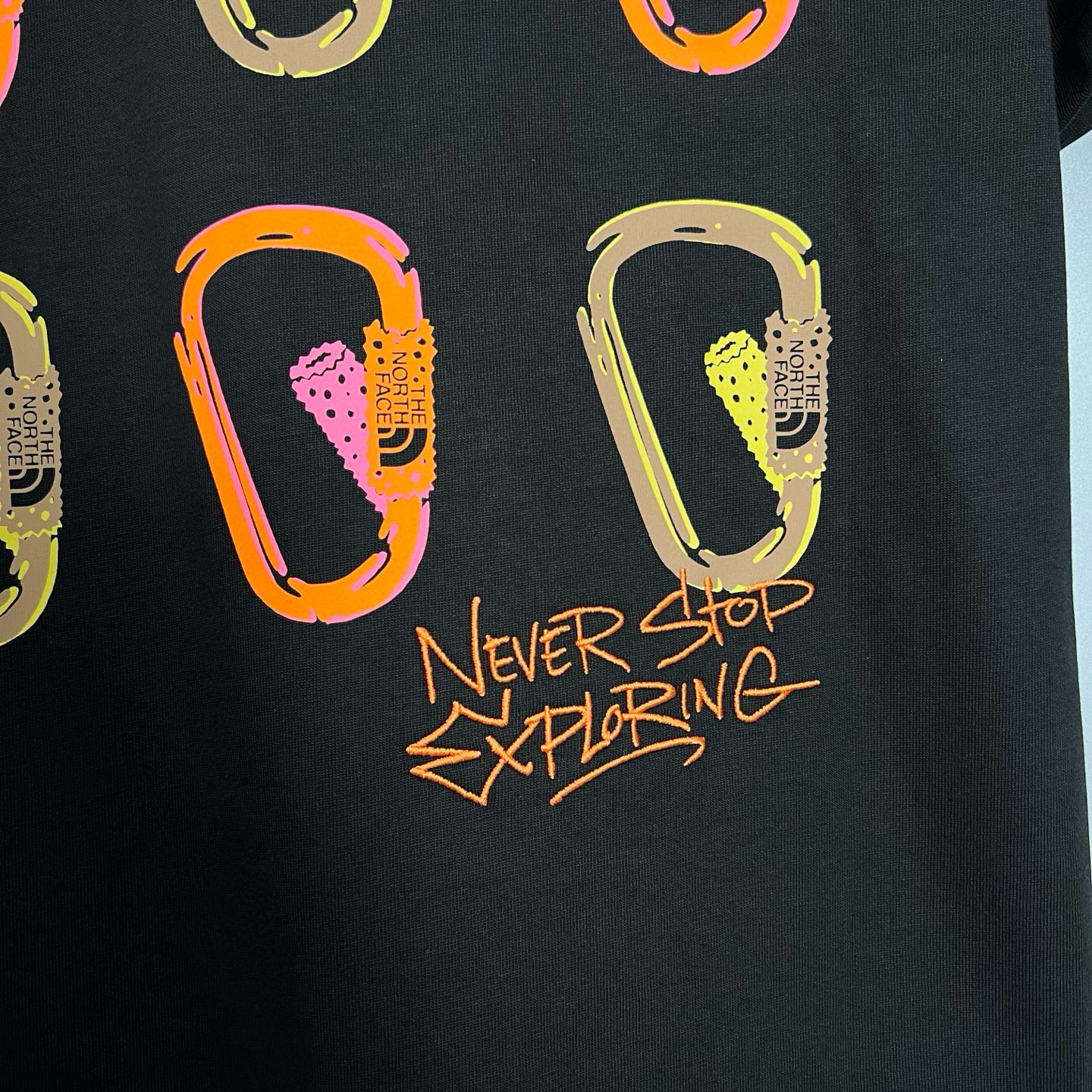 THE NORTH FACE NF0A8C3T JK31