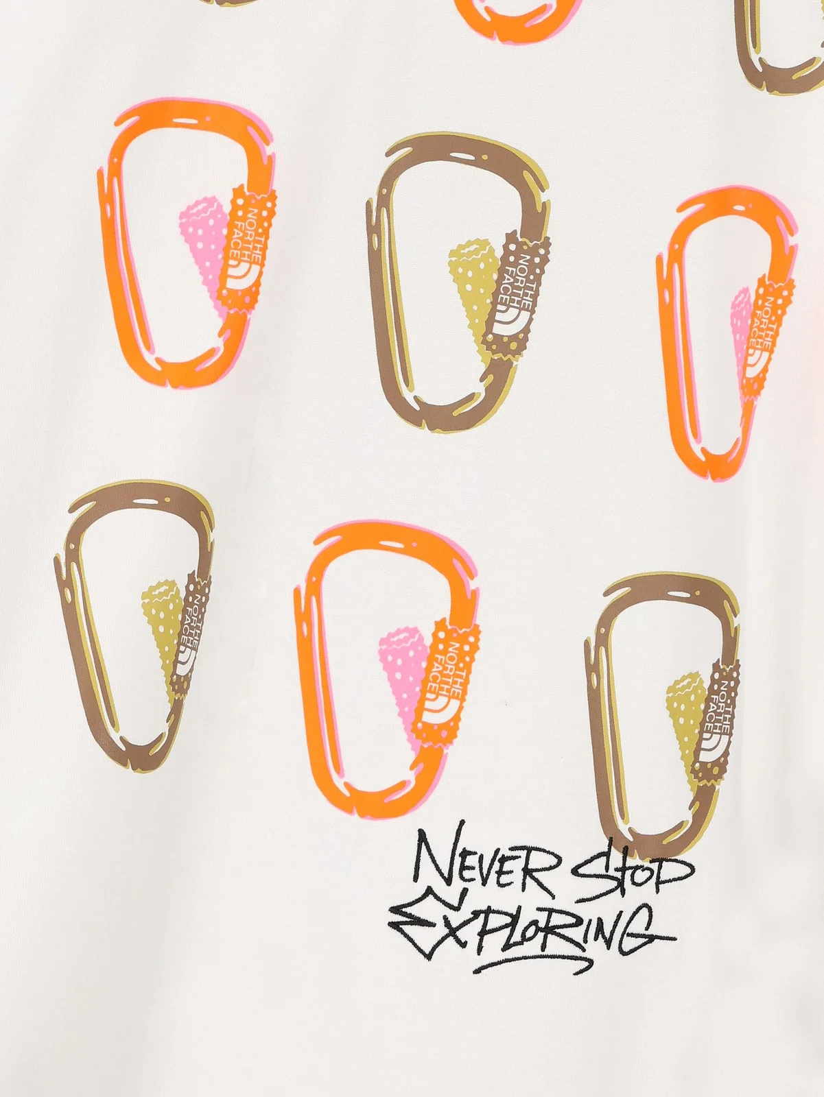 THE NORTH FACE NF0A8C3T FN41