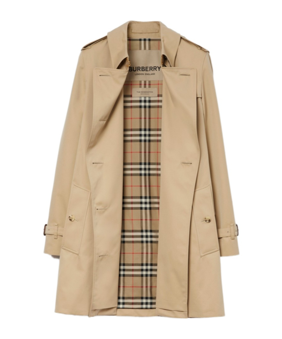 BURBERRY 8079417