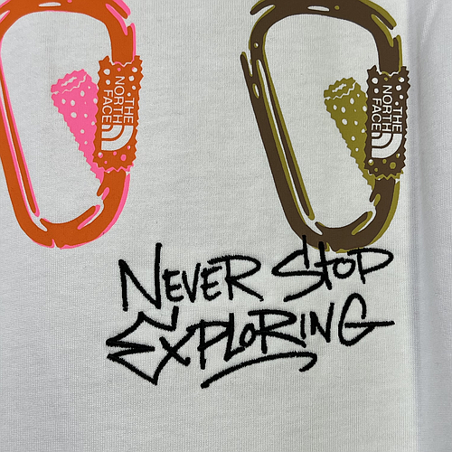 THE NORTH FACE NF0A8C3T FN41