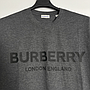 BURBERRY 81042301