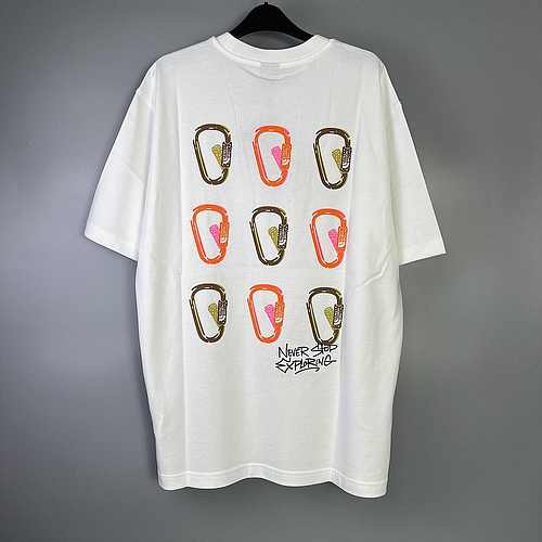 THE NORTH FACE NF0A8C3T FN41